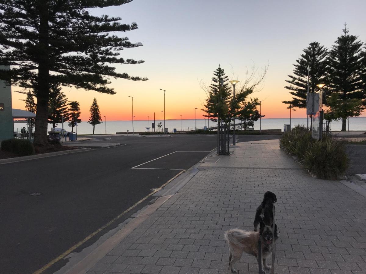 Big4 Ceduna Tourist Park 외부 사진